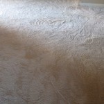 Carpet Cleaning After 3-resize
