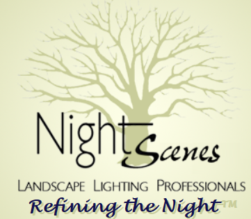 Night Scenes logo